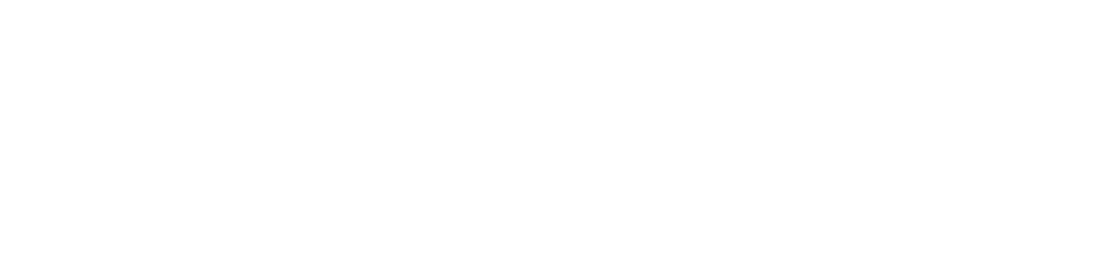 Action Pay Logo