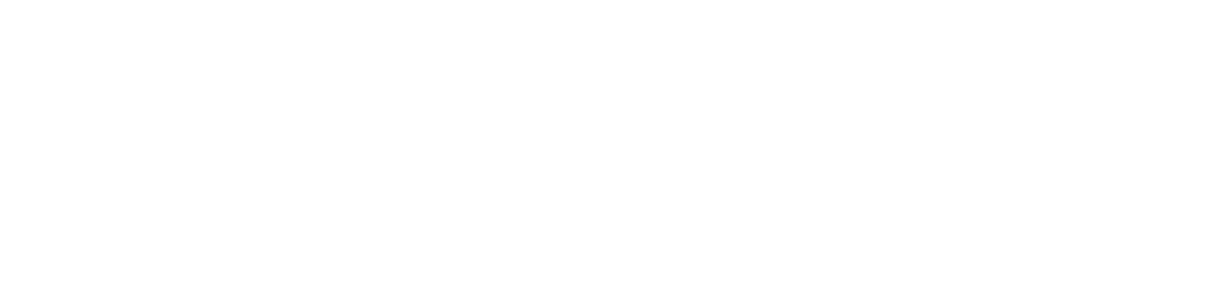 Strapi Logo